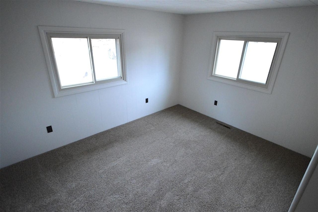 409 Trent St, Boyne City, MI 49712 - carpeted empty room with plenty of natural light