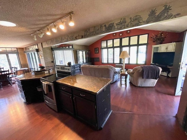9690 Lake St, Ellsworth, MI 49729 - kitchen featuring stainless steel range with electric cooktop, dark wood-style flooring, a textured ceiling, track lighting, and plenty of natural light