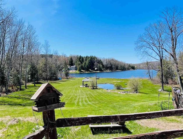 9690 Lake St, Ellsworth, MI 49729 - surrounding community featuring a water view, a yard, and a view of trees