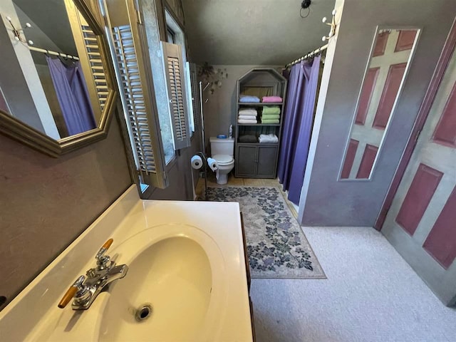 9690 Lake St, Ellsworth, MI 49729 - bathroom featuring toilet, a shower with shower curtain, and vanity