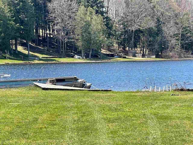 9690 Lake St, Ellsworth, MI 49729 - water view featuring a dock