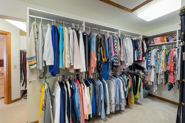 1442 Indian Point Rd, Brutus, MI 49716 - walk in closet featuring carpet floors