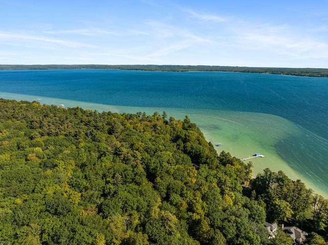 1442 Indian Point Rd, Brutus, MI 49716 - view of property location with a heavily wooded area and a large body of water