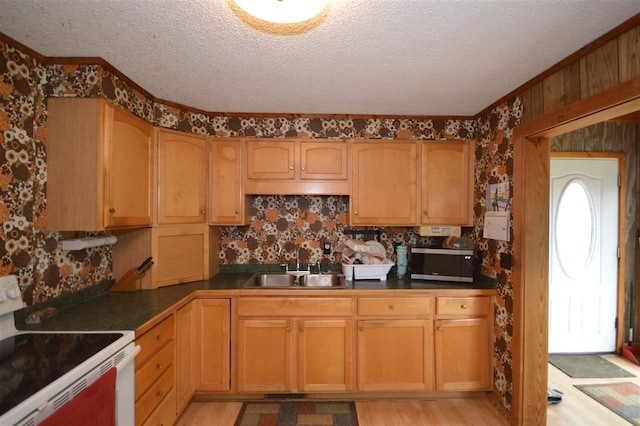 kitchen featuring white electric stove, stainless steel microwave, a sink, a textured ceiling, and crown molding