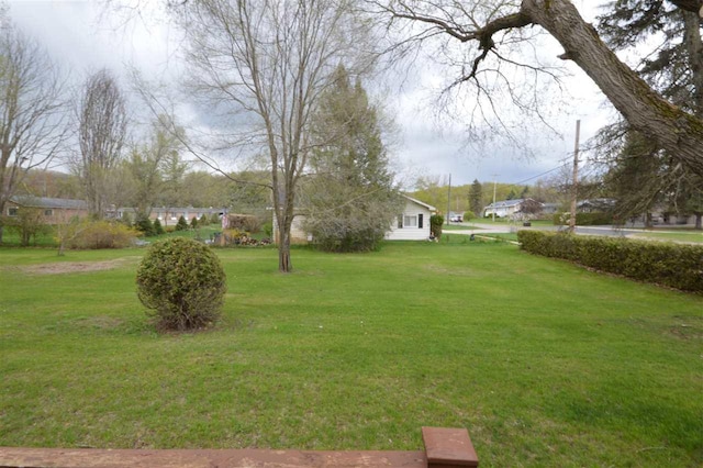view of green lawn