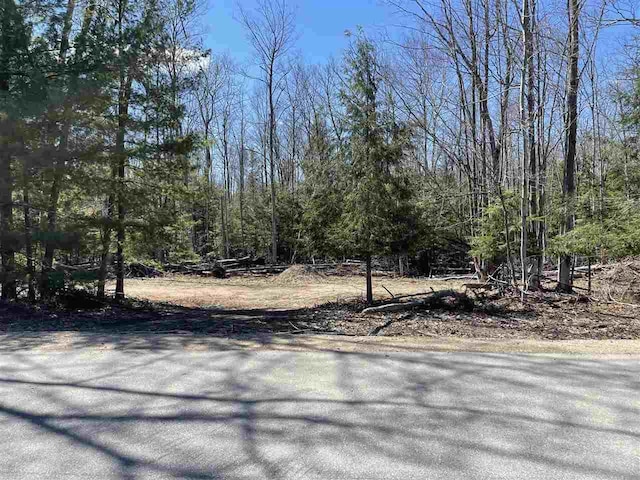 12638 Lore Rd, Ellsworth, MI 49729