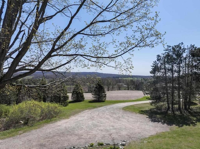 view of community with a wooded view and driveway