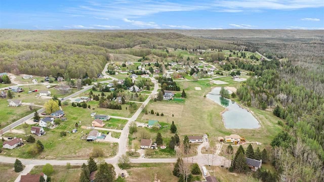 3190 Spring Dr, Boyne Falls, MI 49713 - aerial view of property and surrounding area with a forest and a nearby body of water