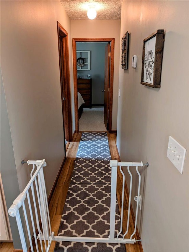 2280 S Eckhardt Rd, Bellaire, MI 49615 - hall featuring wood finished floors and a textured ceiling