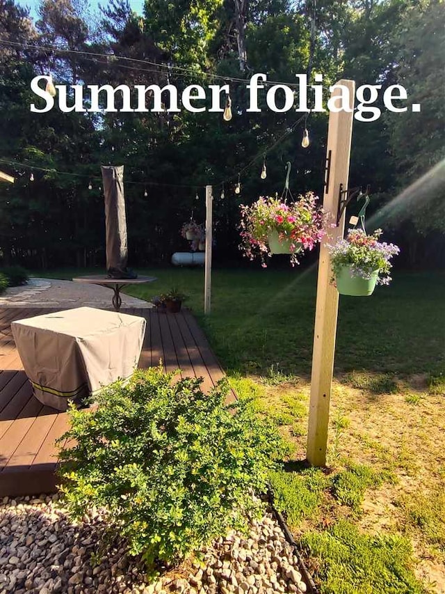 2280 S Eckhardt Rd, Bellaire, MI 49615 - view of grassy yard featuring a wooden deck