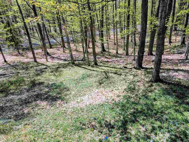 5350 Golfview Rd, Bellaire, MI 49615 - view of undeveloped land