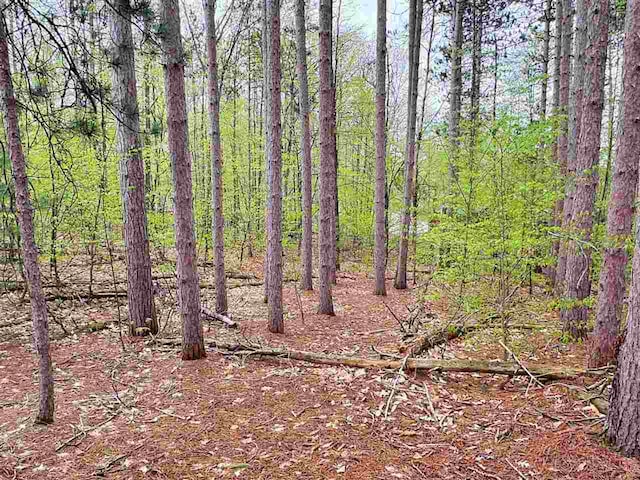TBD Del Mason Rd, Bellaire, MI 49615