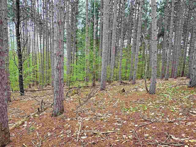 TBD Del Mason Rd, Bellaire, MI 49615