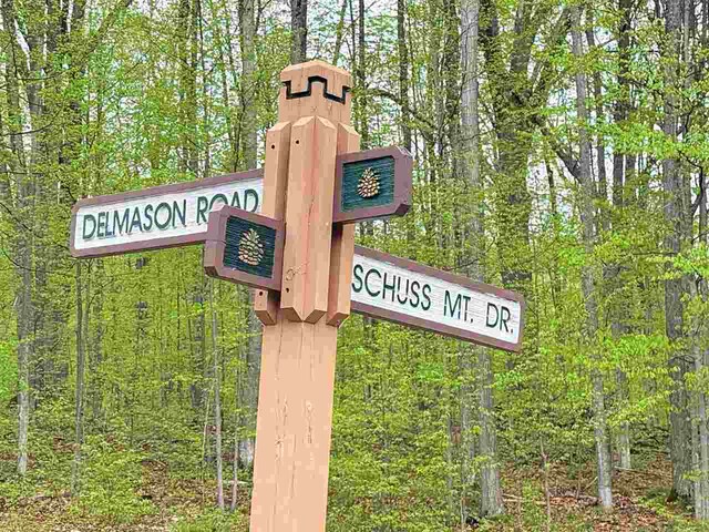 TBD Del Mason Rd, Bellaire, MI 49615