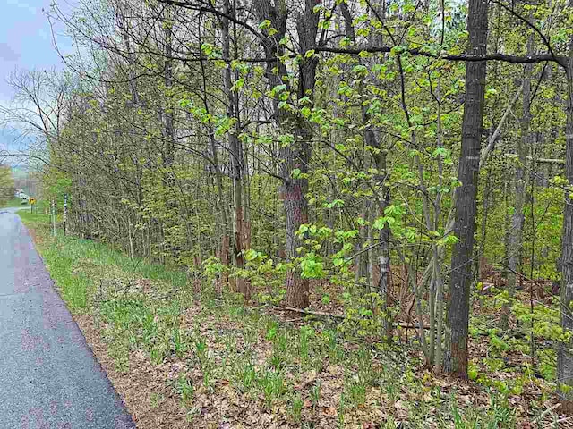 TBD Del Mason Rd, Bellaire, MI 49615