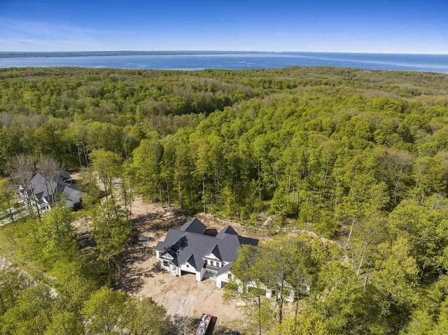 drone / aerial view of a heavily wooded area