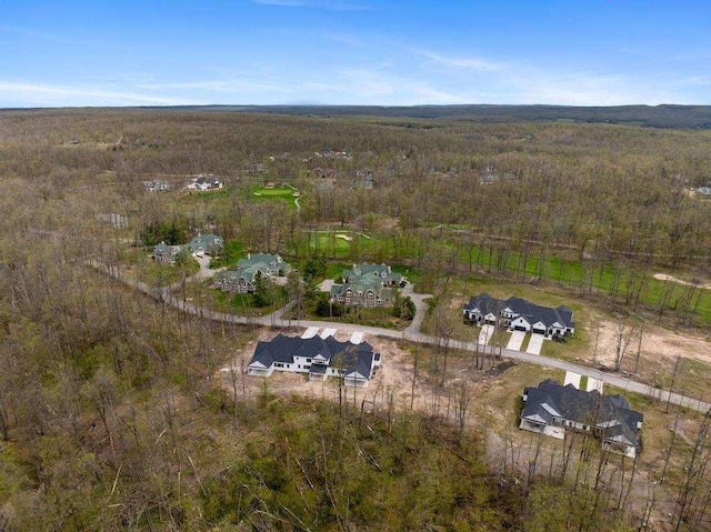 drone / aerial view of a forest