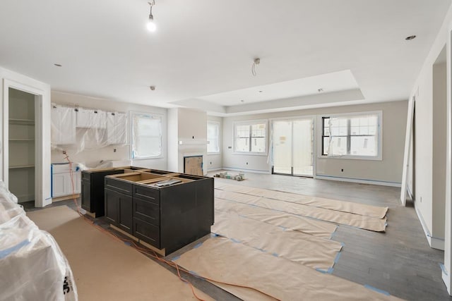 kitchen with plenty of natural light, open floor plan, a tray ceiling, and a fireplace