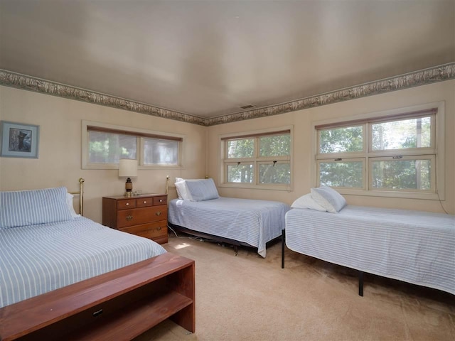 998 N Shr, Walloon Lake, MI 49796 - bedroom featuring light carpet