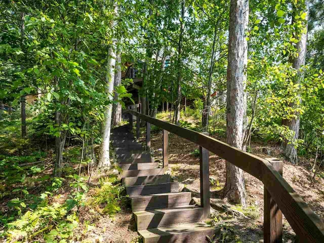 998 N Shr, Walloon Lake, MI 49796 - view of undeveloped land
