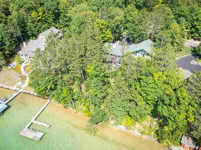 998 N Shr, Walloon Lake, MI 49796 - bird's eye view of a heavily wooded area