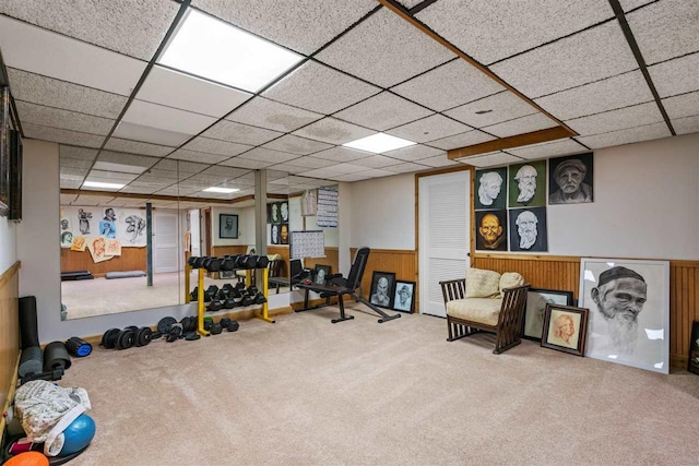 110 Birchwood Dr, Harbor Springs, MI 49740 - workout room with carpet, a paneled ceiling, a wainscoted wall, and wood walls