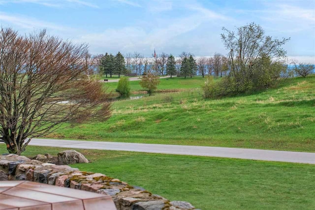 110 Birchwood Dr, Harbor Springs, MI 49740 - surrounding community with a yard
