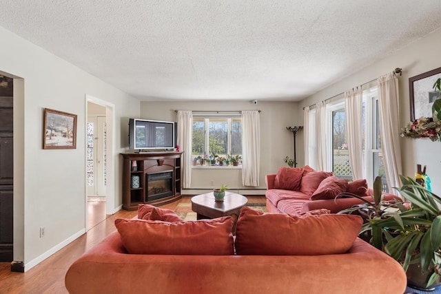 6141 S Old 31, Charlevoix, MI 49720 - living area featuring wood finished floors, a textured ceiling, a glass covered fireplace, and baseboards