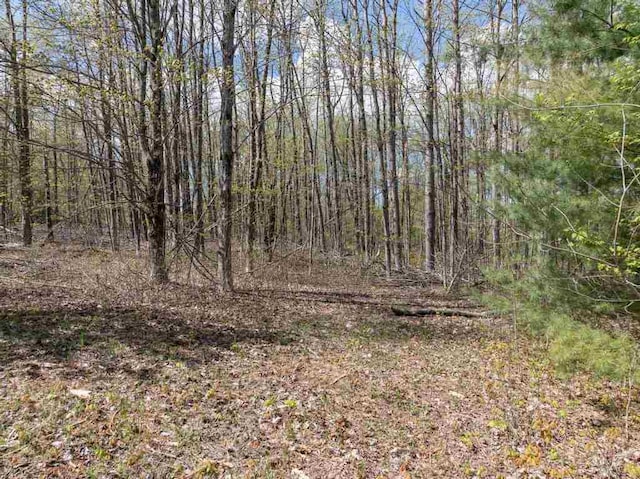 1256 Pirates Way, Petoskey, MI 49770