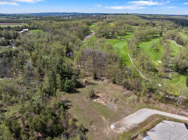 1256 Pirates Way, Petoskey, MI 49770