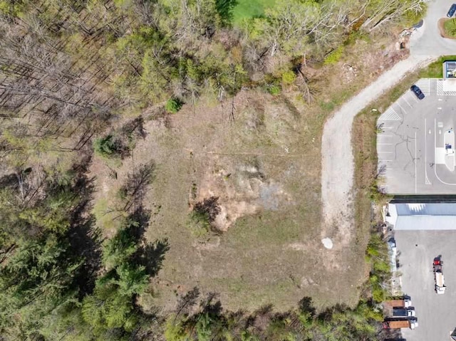 1256 Pirates Way, Petoskey, MI 49770