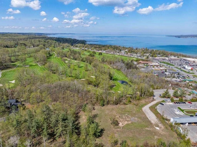 1256 Pirates Way, Petoskey, MI 49770
