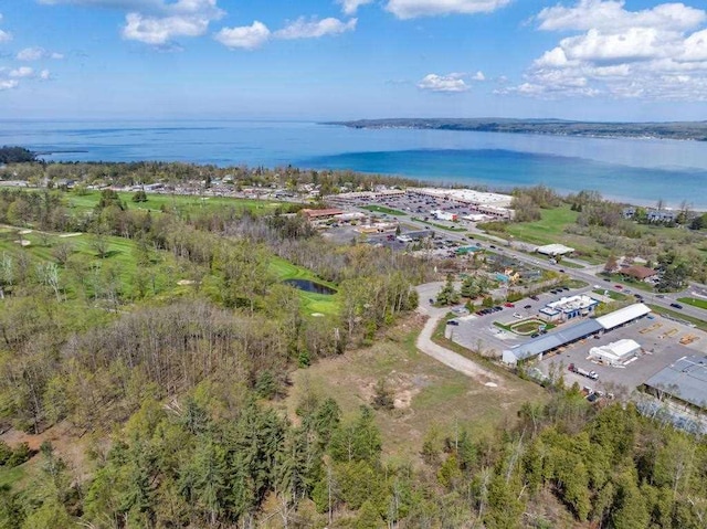 1256 Pirates Way, Petoskey, MI 49770