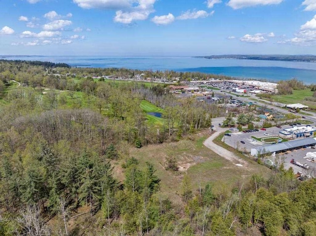 1256 Pirates Way, Petoskey, MI 49770