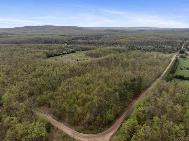 8900 Lewis Rd, Vanderbilt, MI 49795 - aerial overview of property's location with a heavily wooded area