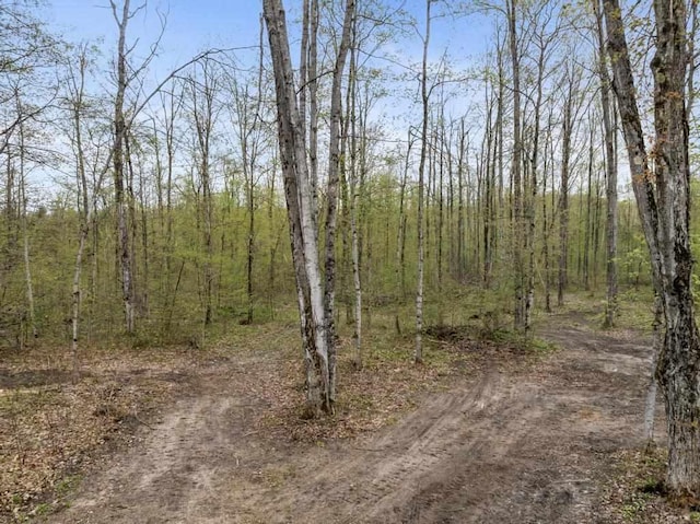 8900 Lewis Rd, Vanderbilt, MI 49795 - view of tree filled area