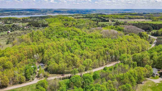 2729 Ranney Rd, East Jordan, MI 49727 - bird's eye view of a forest