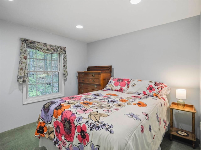 2729 Ranney Rd, East Jordan, MI 49727 - carpeted bedroom with recessed lighting