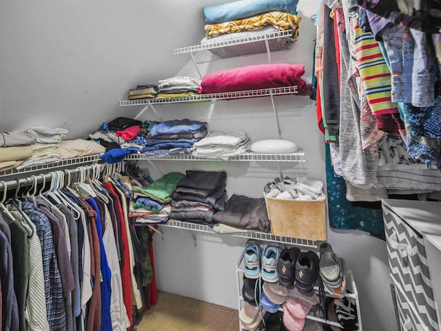 2729 Ranney Rd, East Jordan, MI 49727 - view of spacious closet
