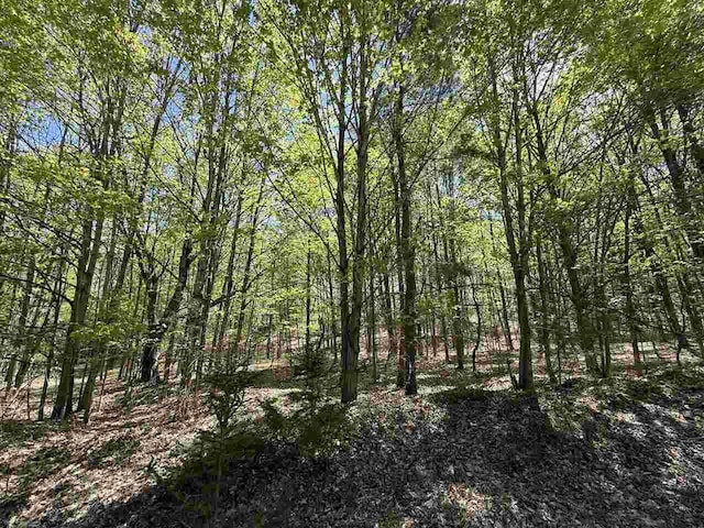 0 Coulter Creek Trl, Central Lake, MI 49622