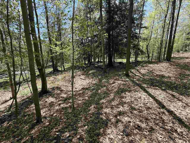 0 Coulter Creek Trl, Central Lake, MI 49622