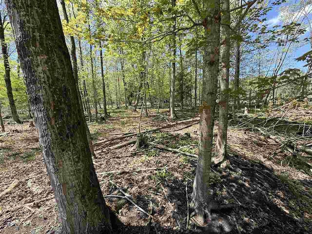 0 Coulter Creek Trl, Central Lake, MI 49622