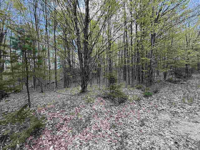 0 Coulter Creek Trl, Central Lake, MI 49622