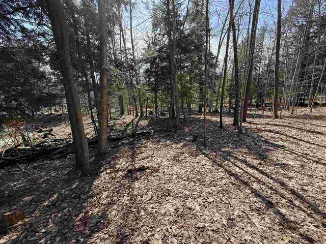 0 Coulter Creek Trl, Central Lake, MI 49622