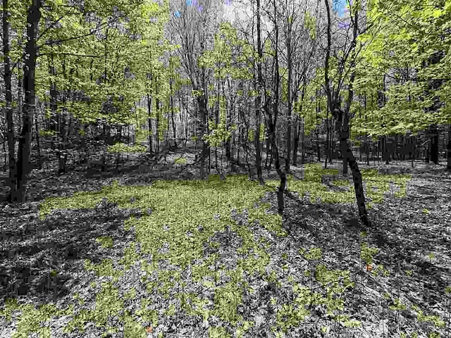 0 Coulter Creek Trl, Central Lake, MI 49622
