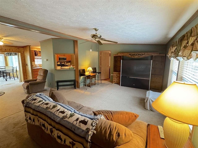 15500 Riverside Trl, Wolverine, MI 49799 - living area featuring a ceiling fan, a textured ceiling, and carpet