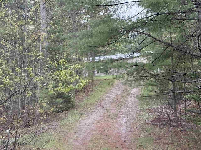 15500 Riverside Trl, Wolverine, MI 49799 - view of dirt / gravel road with a forest view