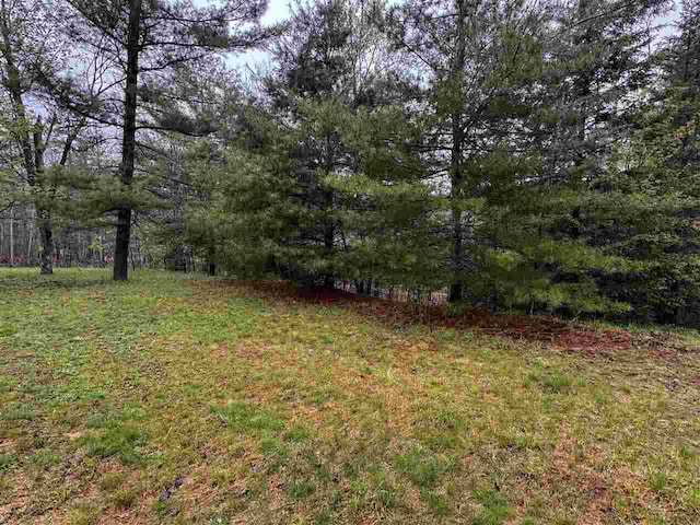 15500 Riverside Trl, Wolverine, MI 49799 - view of yard