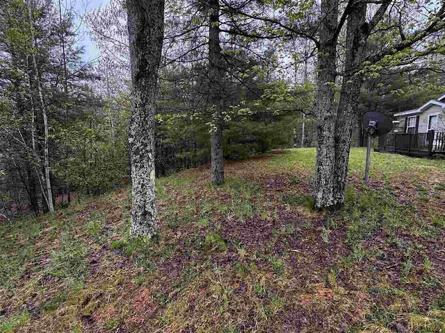 15500 Riverside Trl, Wolverine, MI 49799 - view of yard with a view of trees