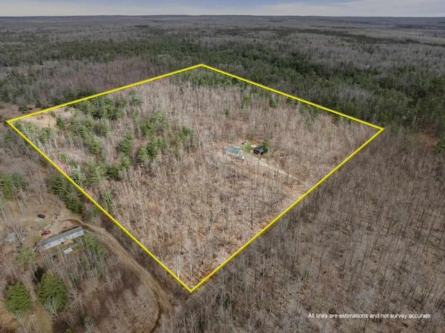 3622 Big Sky Trl, Gaylord, MI 49735 - view of rural area featuring property parcel outlined and a forest
